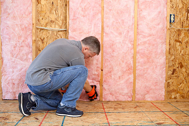 Best Types of Insulation in West Vero Corridor, FL